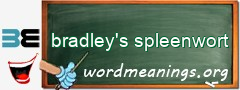 WordMeaning blackboard for bradley's spleenwort